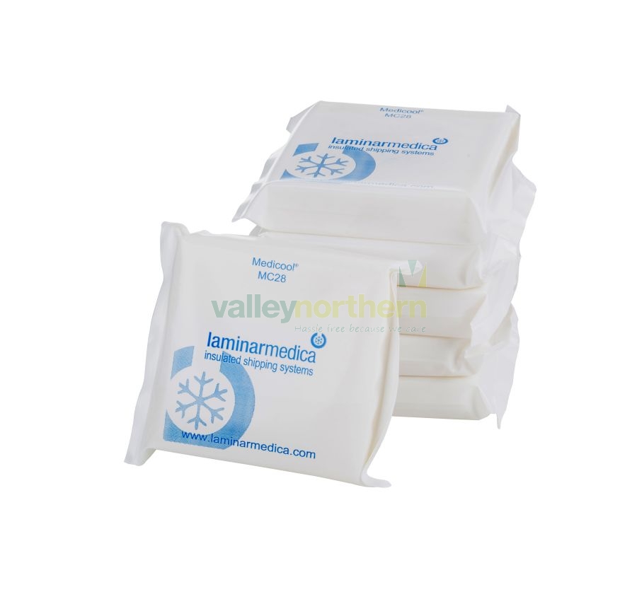 Vaccine Porter with Ice Packs Valley Northern